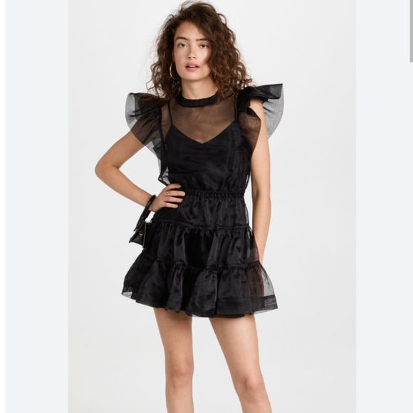 NWT JONATHAN SIMKHAI Monique Sheer Mini Dress - Picture 2 of 12